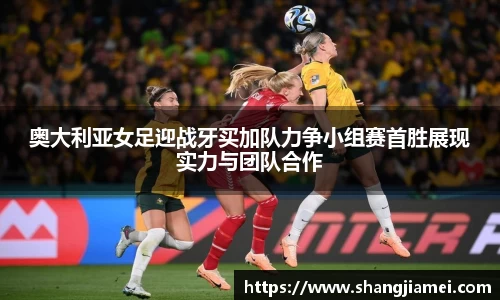 必一·体育(b-sports)